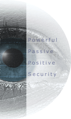 Iris recognition eye